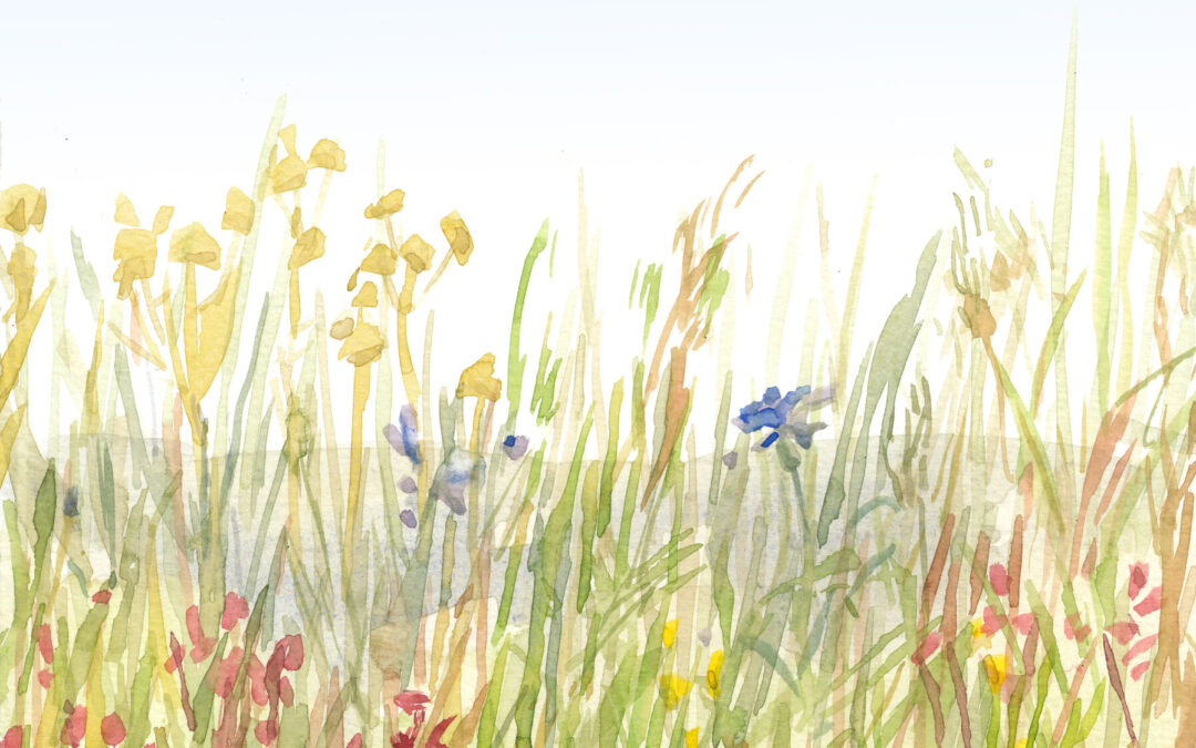 “Iga vikat niidab” kirikuõues 28. juulil